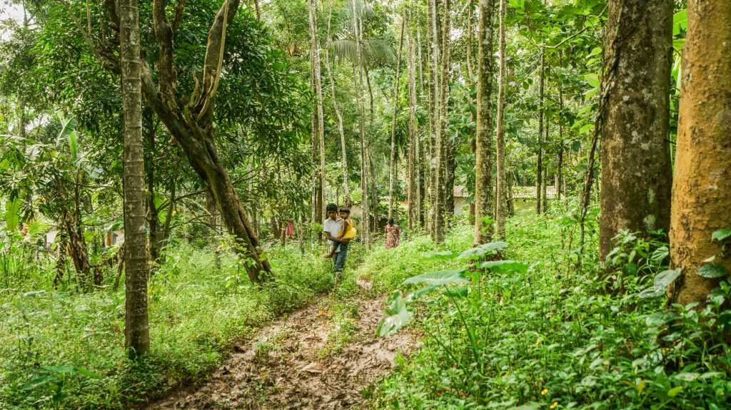 People walk long distances amidst dense forests to reach out for their share of relief materials