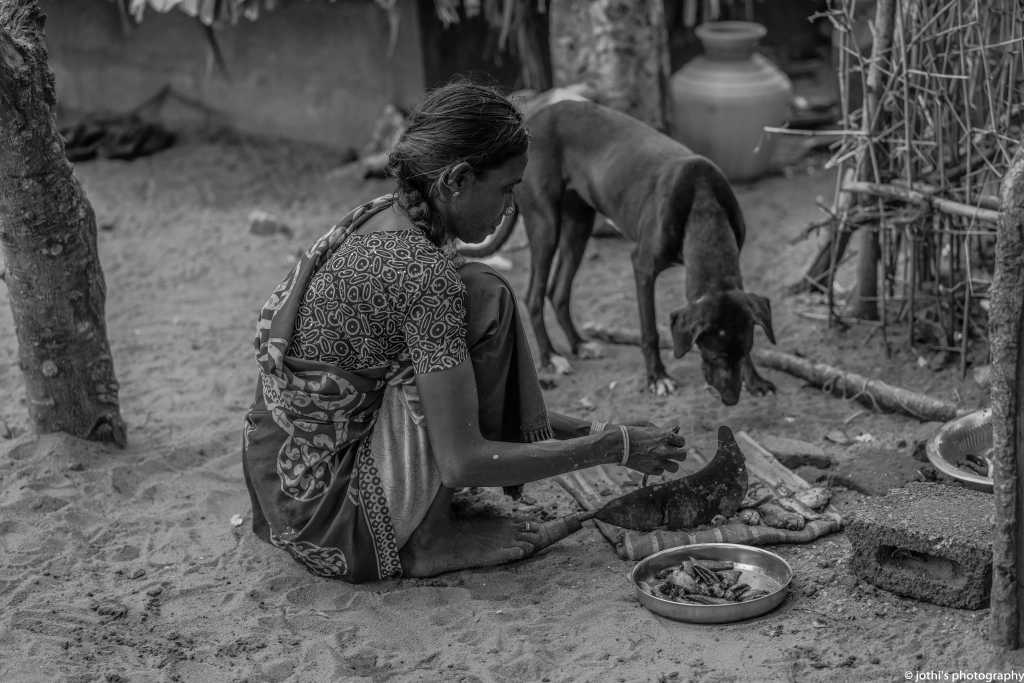 Animals form a huge part of the native culture…