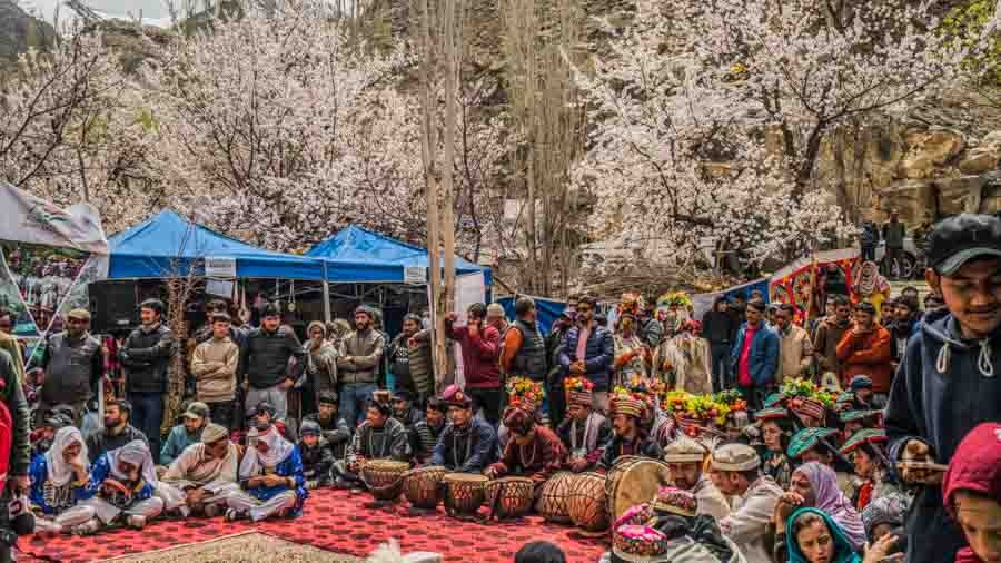 Apricot Blossom Festival, Ladakh Apricot Blossom Festival, Ladakh