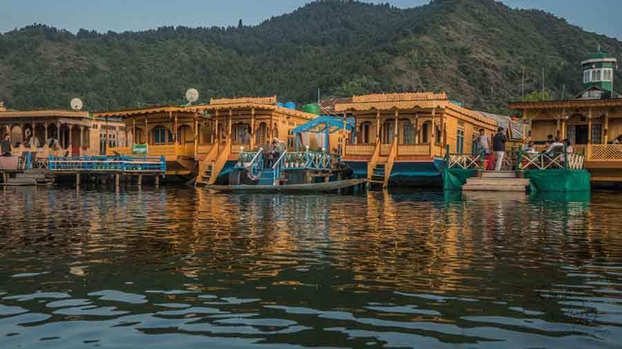Trip to Dal Lake/ Srinagar For Tulip Garden Trip to Dal Lake/ Srinagar For Tulip Garden