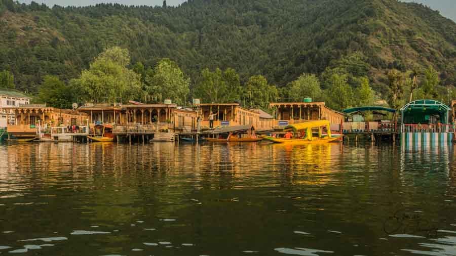 Dal Lake - Reflection Beauty