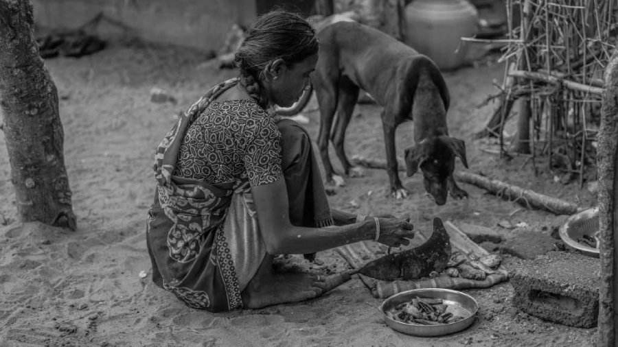 Animals form a huge part of the native culture…